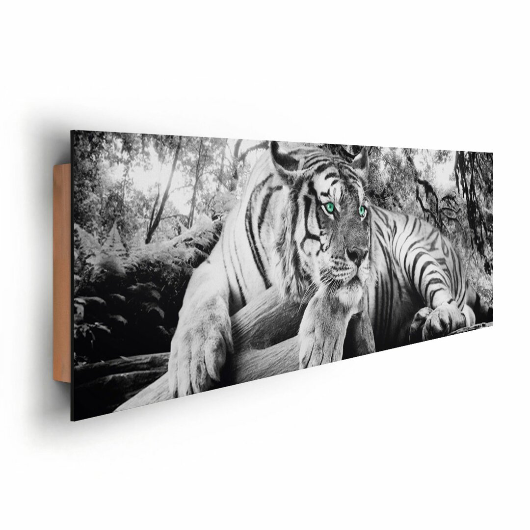 Deco Panel 'Tiger guckt dich an', Fotodruck