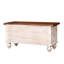Zalia Accent Trunk