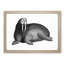 Walrus in Black & White by George Shaw - Picture Frame Drawing Print-55605477-55605478