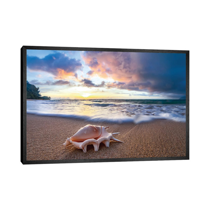Shell Sea Drops by Sean Davey - Gallery-Wrapped Canvas Giclée on Canvas, 152.5 cm H x 101.5 cm W, Black Floater Framed