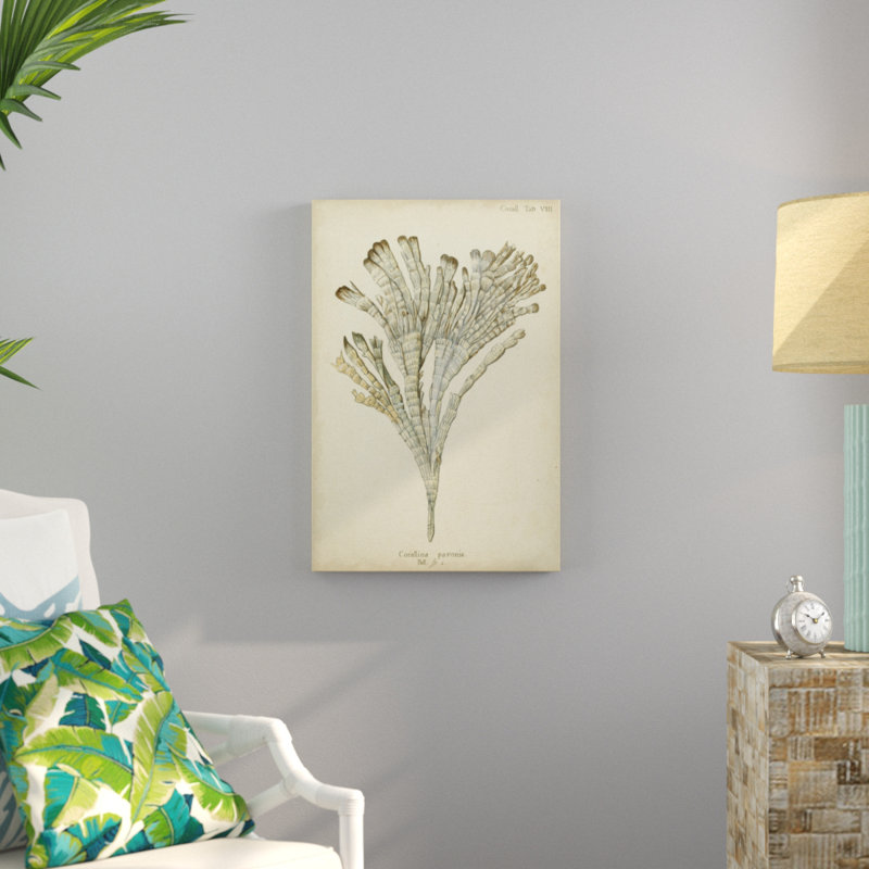 Coral Collection I by Johann Esper - Painting Print, 76cm H x 51cm W, Wrapped Canvas