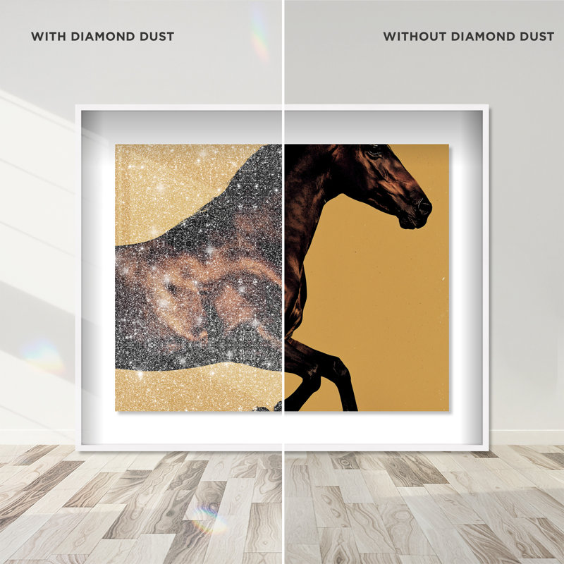 Hue Equine II Framed Graphic Art, 25.5"H x 31.5"W, White Shadowbox
