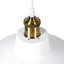 Abigail 1 - Light Dome Pendant-38833883