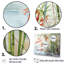 «Bamboo Charm In China - Bamboo Canvas Wall Art_106572-95899454-95899453