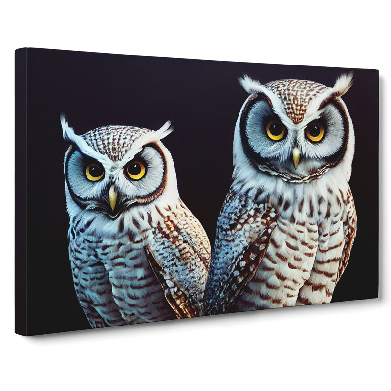 Owl Face - Wrapped Canvas, 35cm H x 50cm W x 3cm D