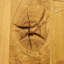 Veasley Solid Oak Barn Doors Prefinished-1296011587