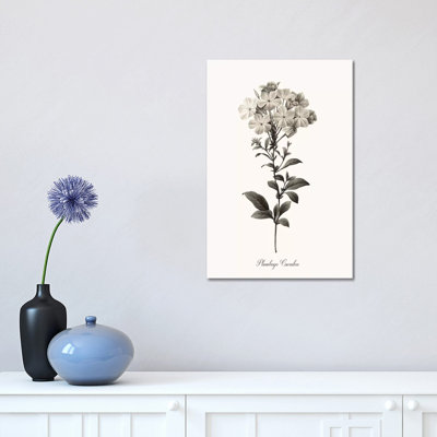 Sketchbook Leadwort 1 Piece Wrapped Canvas Wall Art