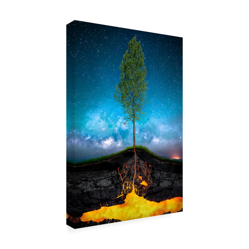 Art sur toile par Antonio Bernardino Coelho, H 16 po x l 24 po