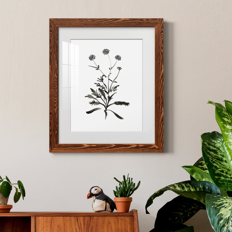 Inky Botanical I - peinture encadrée, H 20 po x l 17 po x P 1,5 po, Érable