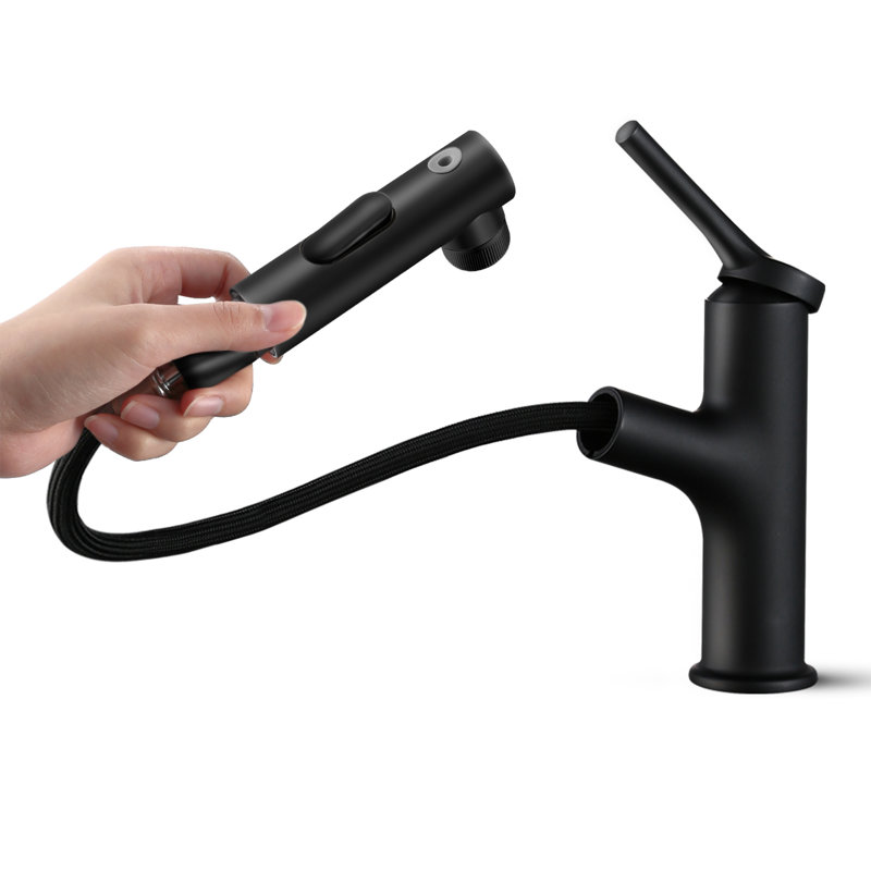 Robinet de salle de bain à un trou avec douchette extractible, robinet de salle de bain à poignée simple, Noir mat