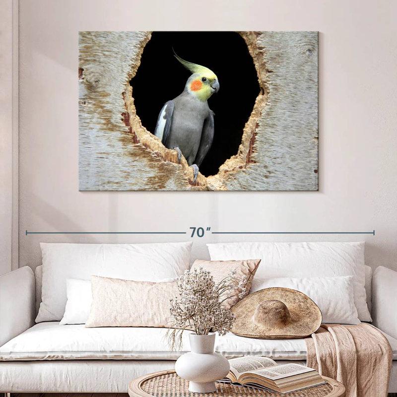 Cockatiel Brampt dans un trou, H 32 po x l 48 po