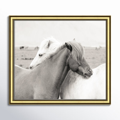Melanie "Icelandic Meadow Horses" Print