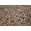 Hand Knotted Wool Area Rug in Green And Ivory