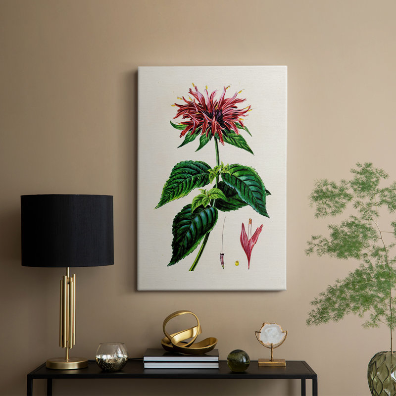 AntiqueFloralFolioI - galerie Cavas sur mesure, H 18 po x l 12 po