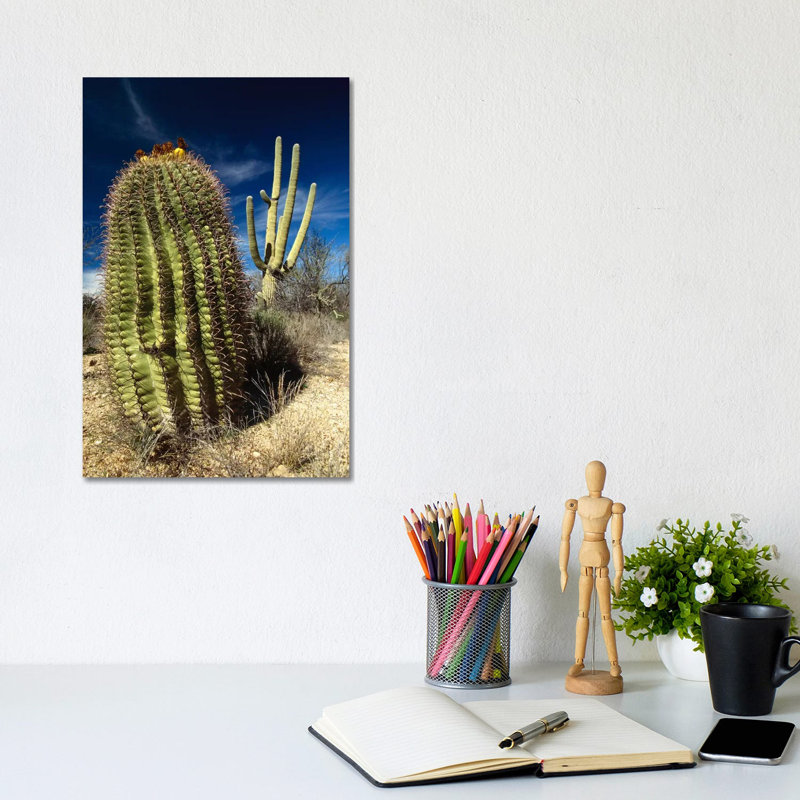 Saguaro With Fishhook Barrel Cactus In The Foreground, Sonoran Desert, Arizona by Gerry Ellis - Wrapped Canvas Print