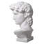 Buste David