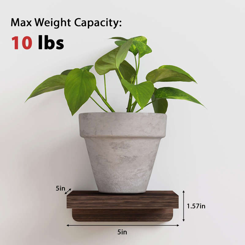 Ottava Square Paulownia Floating Shelf, Dark Carbonized Black