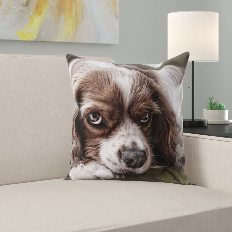 Coussin pour chien