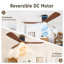 Ventilateur de plafond de ferme moderne de 52 po avec éclairage à intensité variable et télécommande pour chambre à coucher, salon Cissline