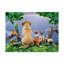 « watching the rainbow », reproduction d’art graphique sur toile tendue-26858704