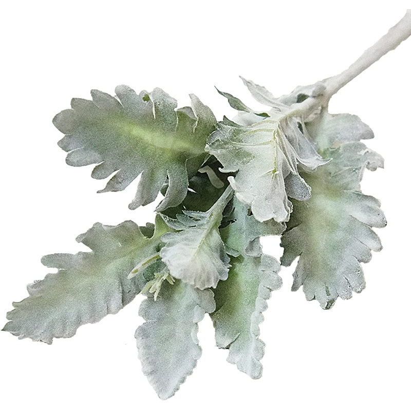 Chrysanthemum Leaf Arrangement