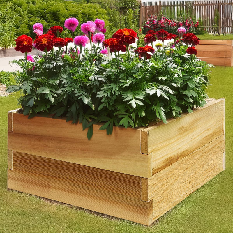 Boîte de jardin surélevée, H 10,5 po x l 22 po x P 22 po