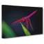 Purple Dragonfly - Wrapped Canvas-55322361