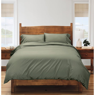 Comforter