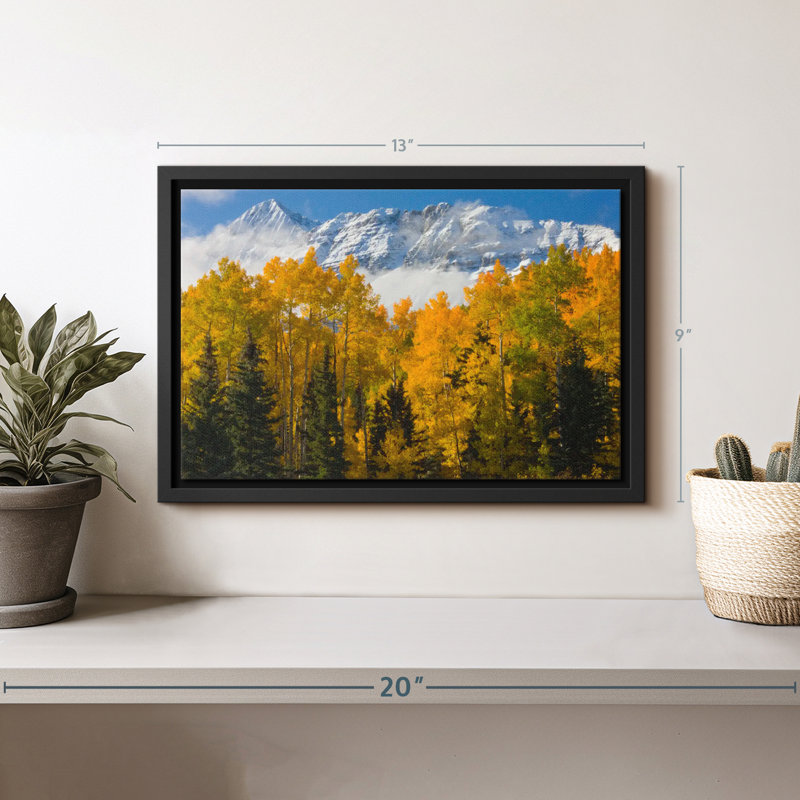 Floral et botanique «Wilson Peak Autumn View Canvas Print», H 9 po x l 13 po