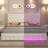 Kendrall Upholstered Platform Bed Frame with 2 Storage Drawers & LED Lighting-1083380693-1083380691