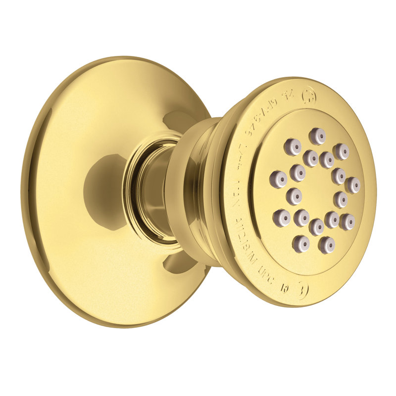 Moen® Single Function Body Spray, Polished Brass