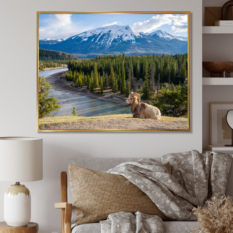 Faune sauvage, paysage de l'Alaska II, H 34 po x l 44 po x P 1,5 po, Cadre flottant doré