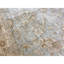Sultanabad One-of-a-Kind 6'4" x 8'11" Area Rug