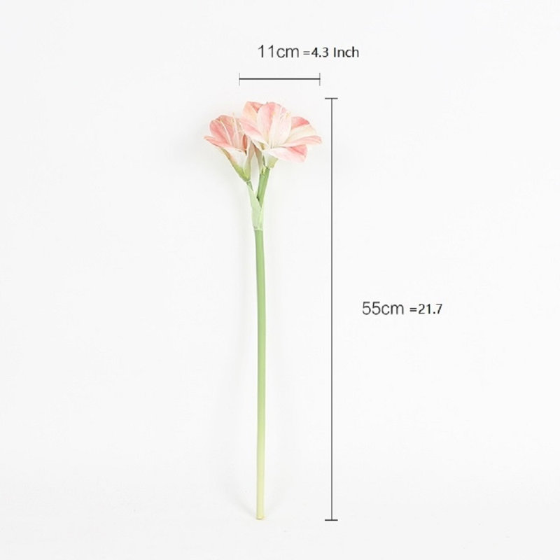 Orchid Arrangement, 1 Stem, White