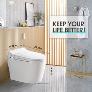 https://assets.wfcdn.com/im/89002672/resize-h300-w300%5Ecompr-r85/2432/243212669/BCAN+Smart+Toilet+with+Tankless+Bidet+Wash%2C1.28+Gallons+Auto+Flush%2C+Heat+Seat%2C+Warm+Wash%2FDryer%2C+Remote+Control.jpg