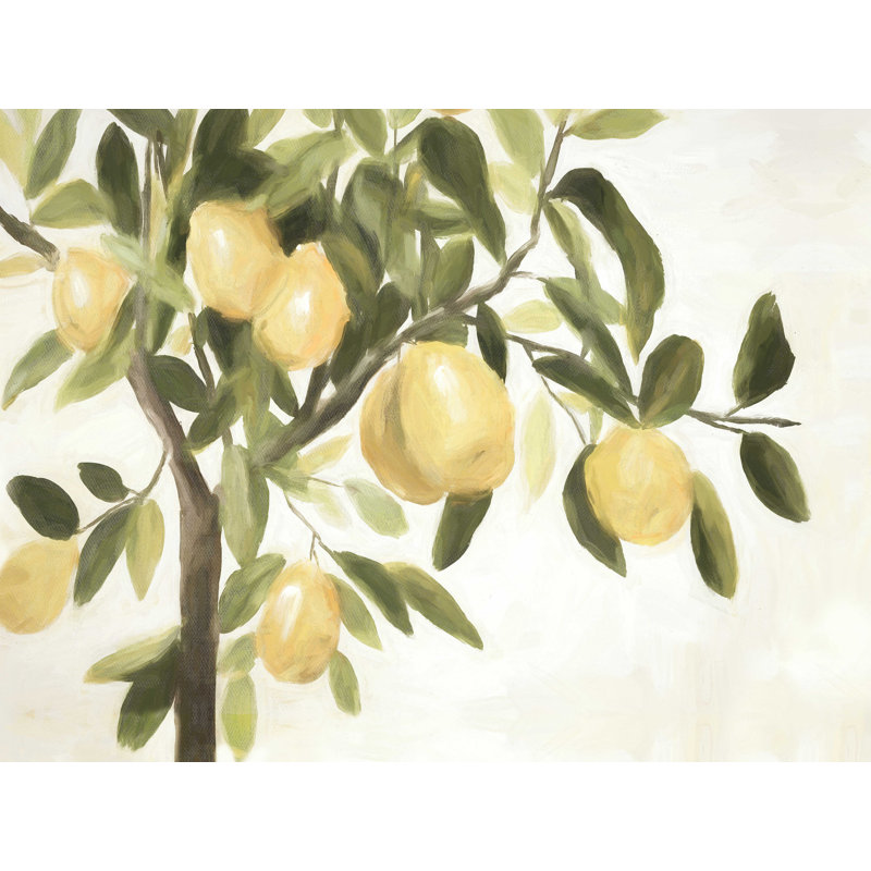 «Lemon Tree», reproduction d'art sur toile tendue, H 12 po x l 16 po