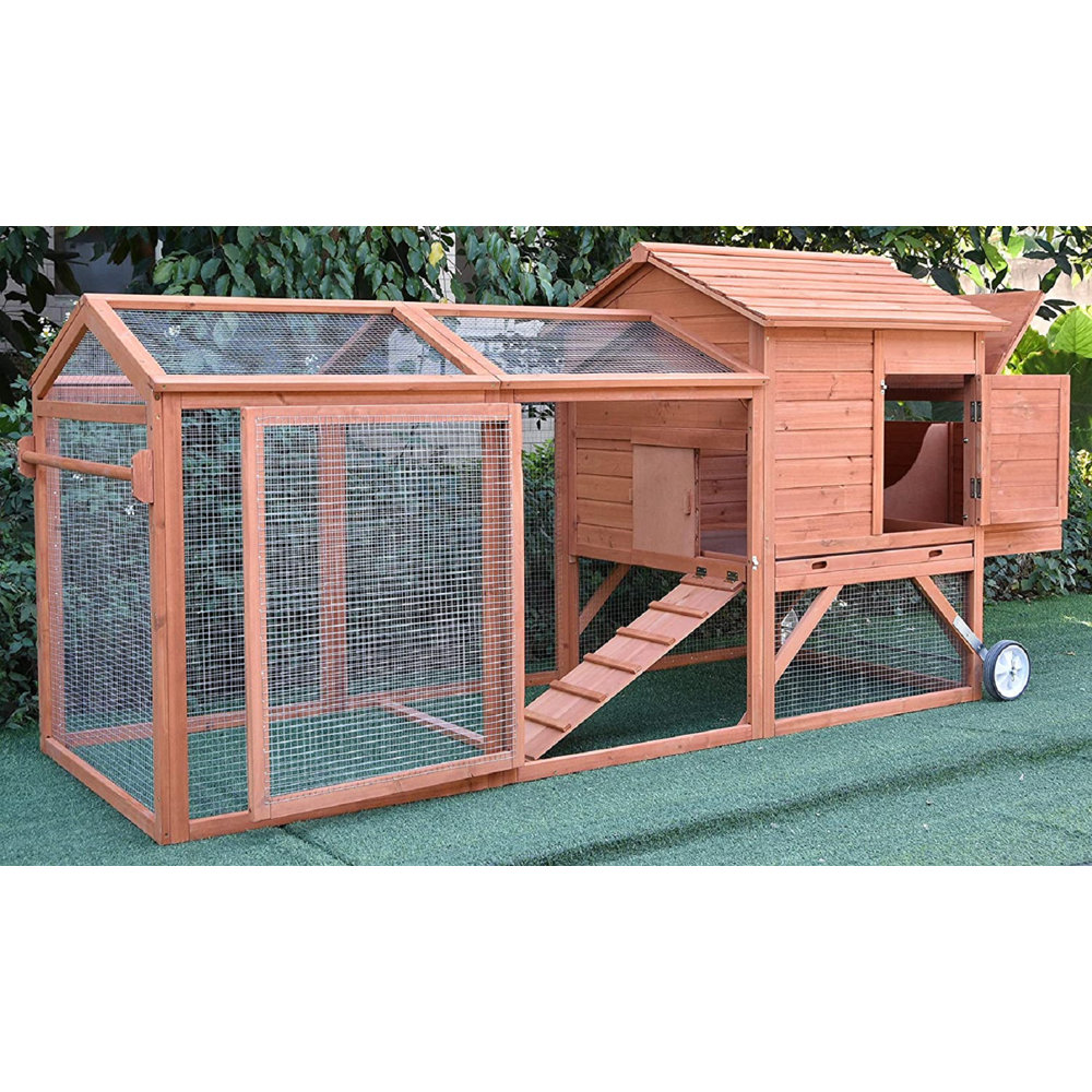 Aynsley 19 Square Feet Chicken Coop For Up To 4 Chickens
