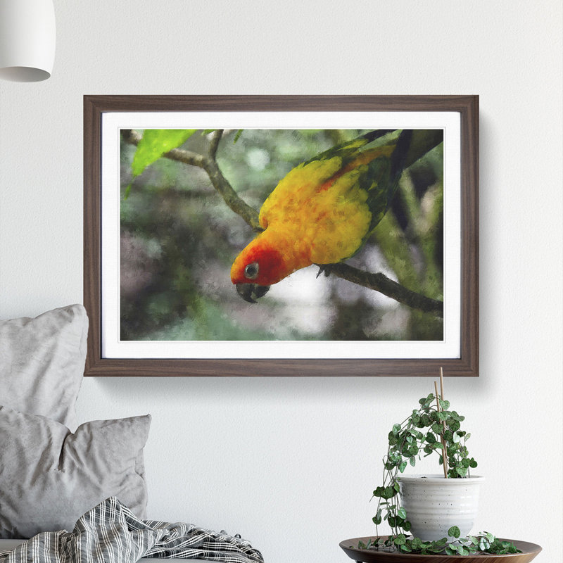 Parrot - Framed Print, 48cm H x 65cm W x 2cm D, Walnut Framed