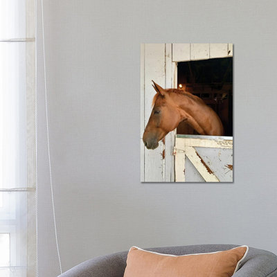 Horse in a Barn I 1 Piece Wrapped Canvas Wall Art