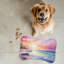 Coastal Scene Patterns - Tapis d'alimentation en forme d'os