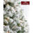 Frosted Prelit Artificial Christmas Tree-104246802