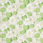 Nasturtium Wallpaper-49817517