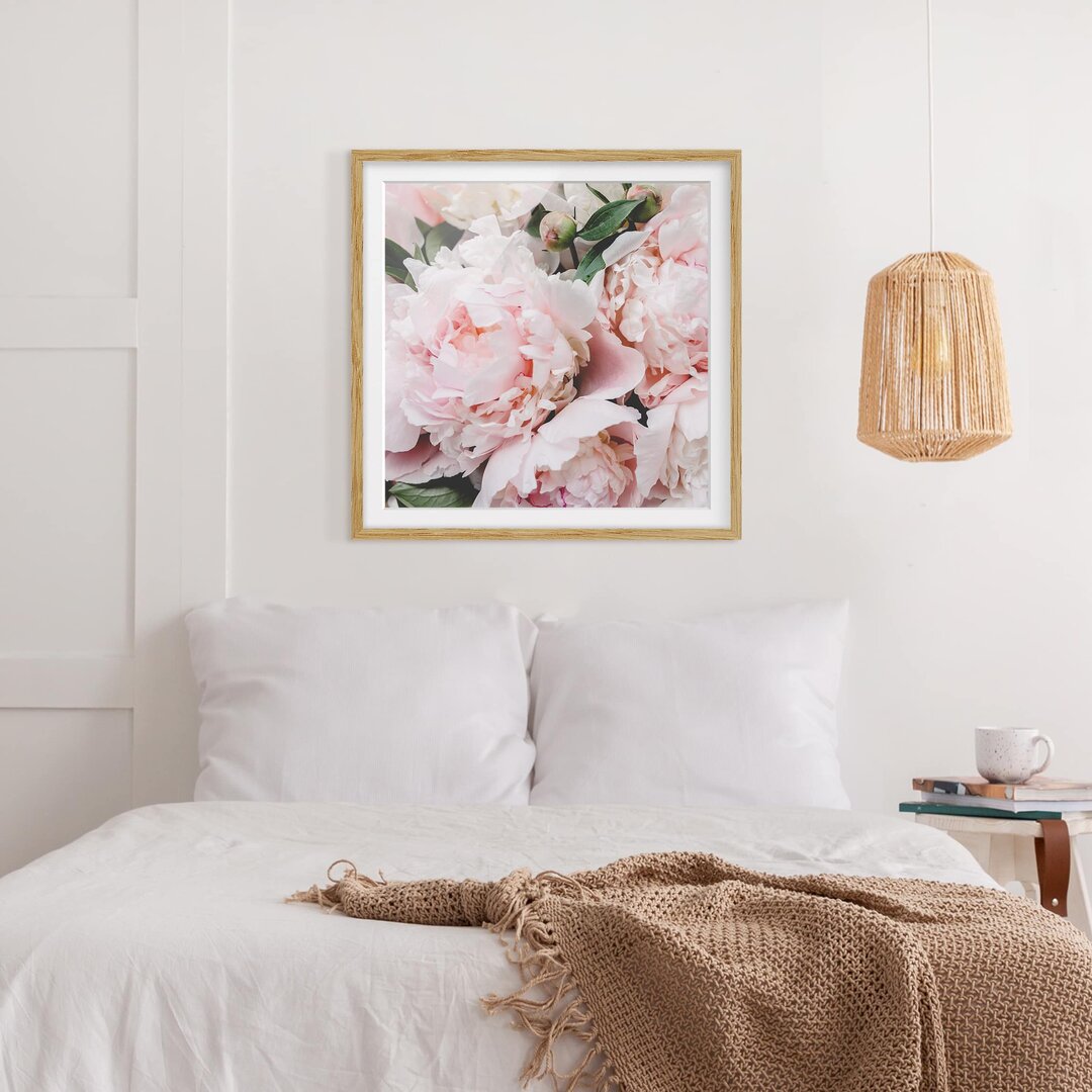 Gerahmtes Poster Peonies Light Pink