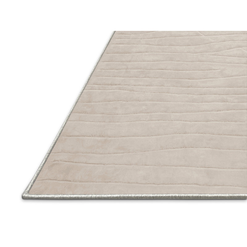 Tapis beige soyeux et moelleux, Rectangle 2 pi x 3 pi