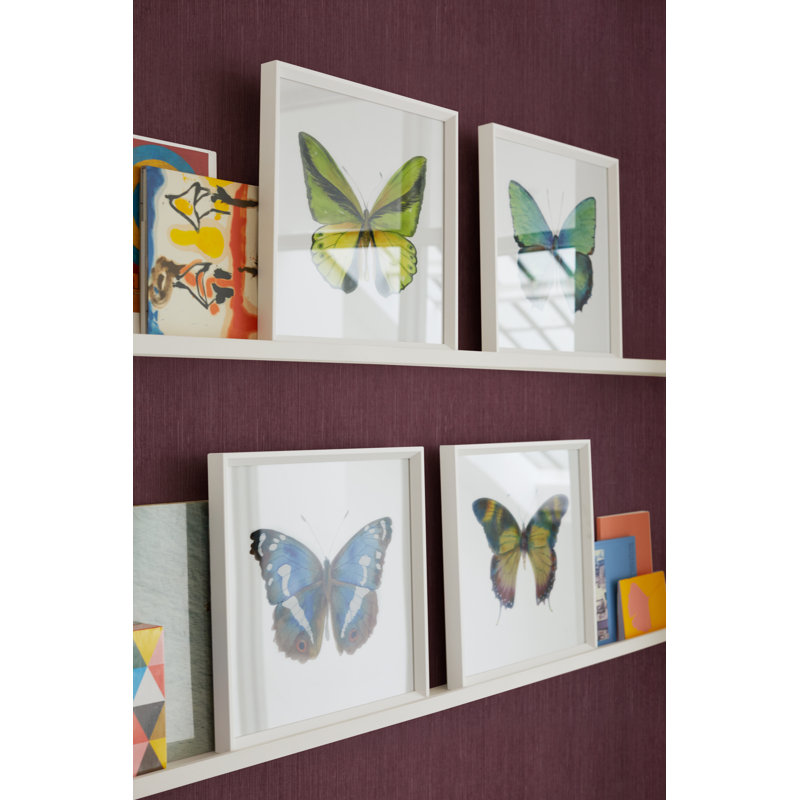 Butterfly Study 7' Framed Graphic Art Print on Glass