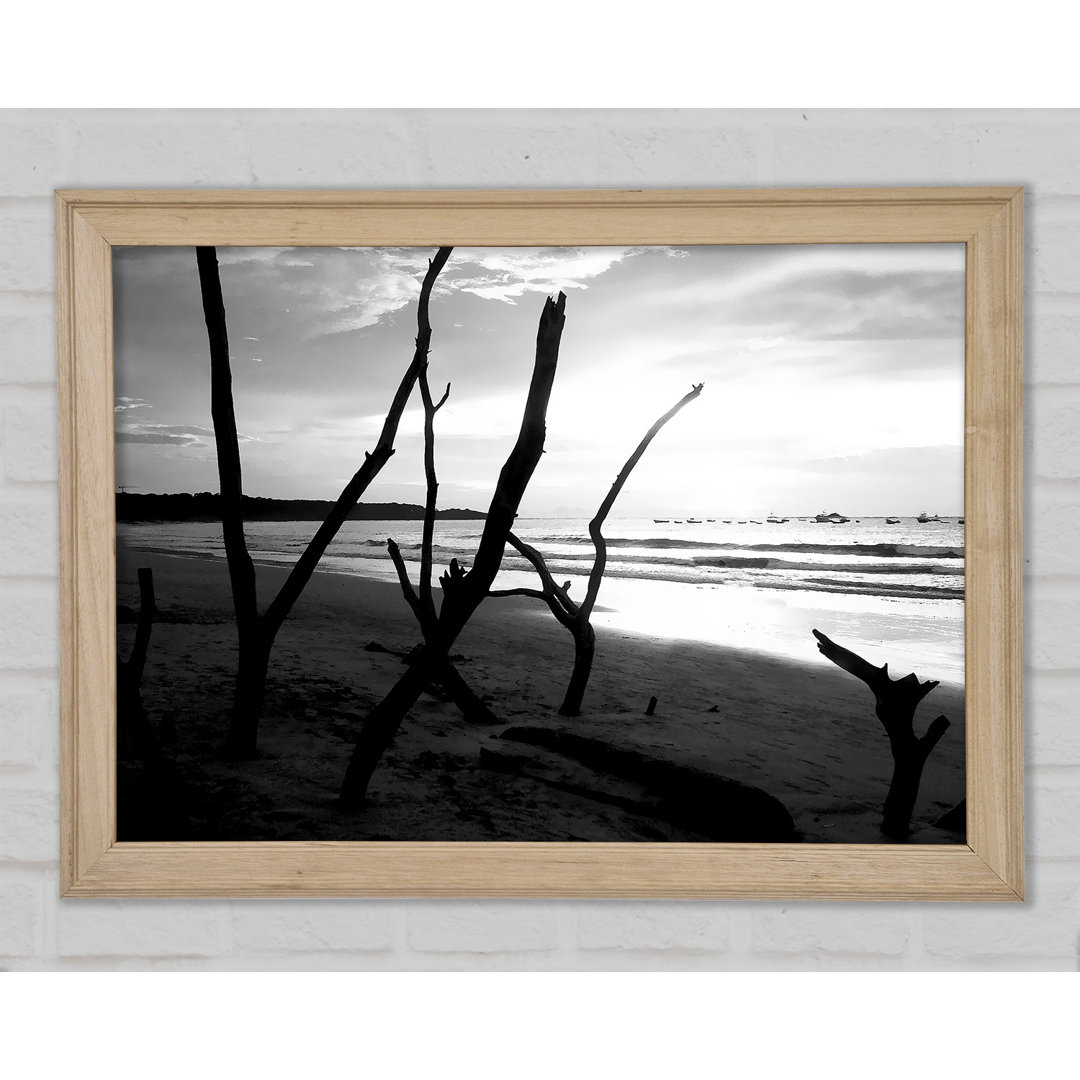 Gerahmtes Poster Driftwood Beach B N W