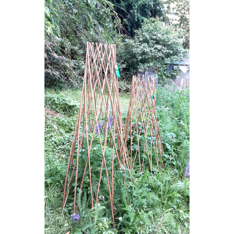 Treillage extensible en bois de saule, Brun clair, H 60 po x l 14 po x P 14 po