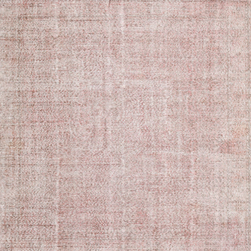 Janete Oriental Indoor Rug, Square 7'
