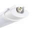 White 7 W