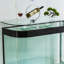 Aquarium Minimalist-103104955-103104953